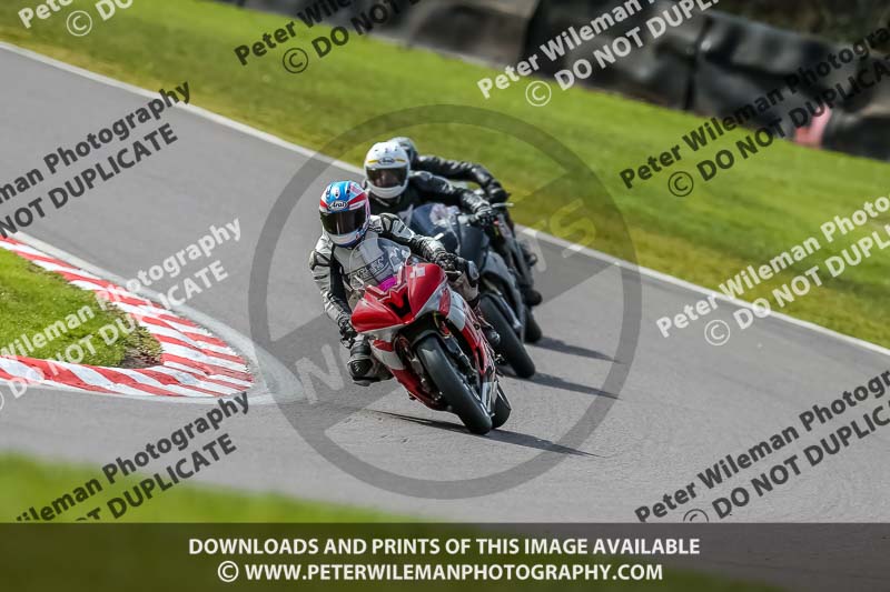 Oulton Park 21st March 2020;PJ Motorsport Photography 2020;anglesey;brands hatch;cadwell park;croft;donington park;enduro digital images;event digital images;eventdigitalimages;mallory;no limits;oulton park;peter wileman photography;racing digital images;silverstone;snetterton;trackday digital images;trackday photos;vmcc banbury run;welsh 2 day enduro